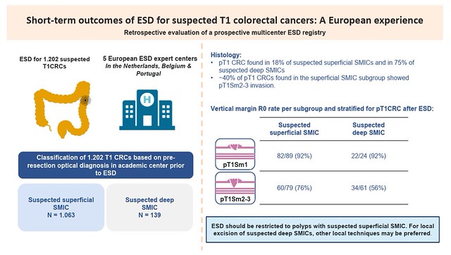 van Eijck van Heslinga_Moons_figure