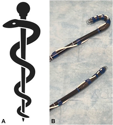 Despott_Bosch_Kalopitas_figure2