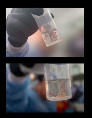 Robles-Medranda_figure